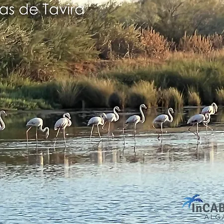 Incabanas *
